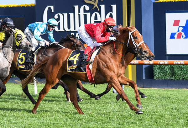 Undefeated Not a Single Doubt Filly Wins G3 Guineas Prelude